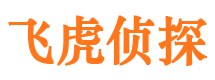 回民侦探取证